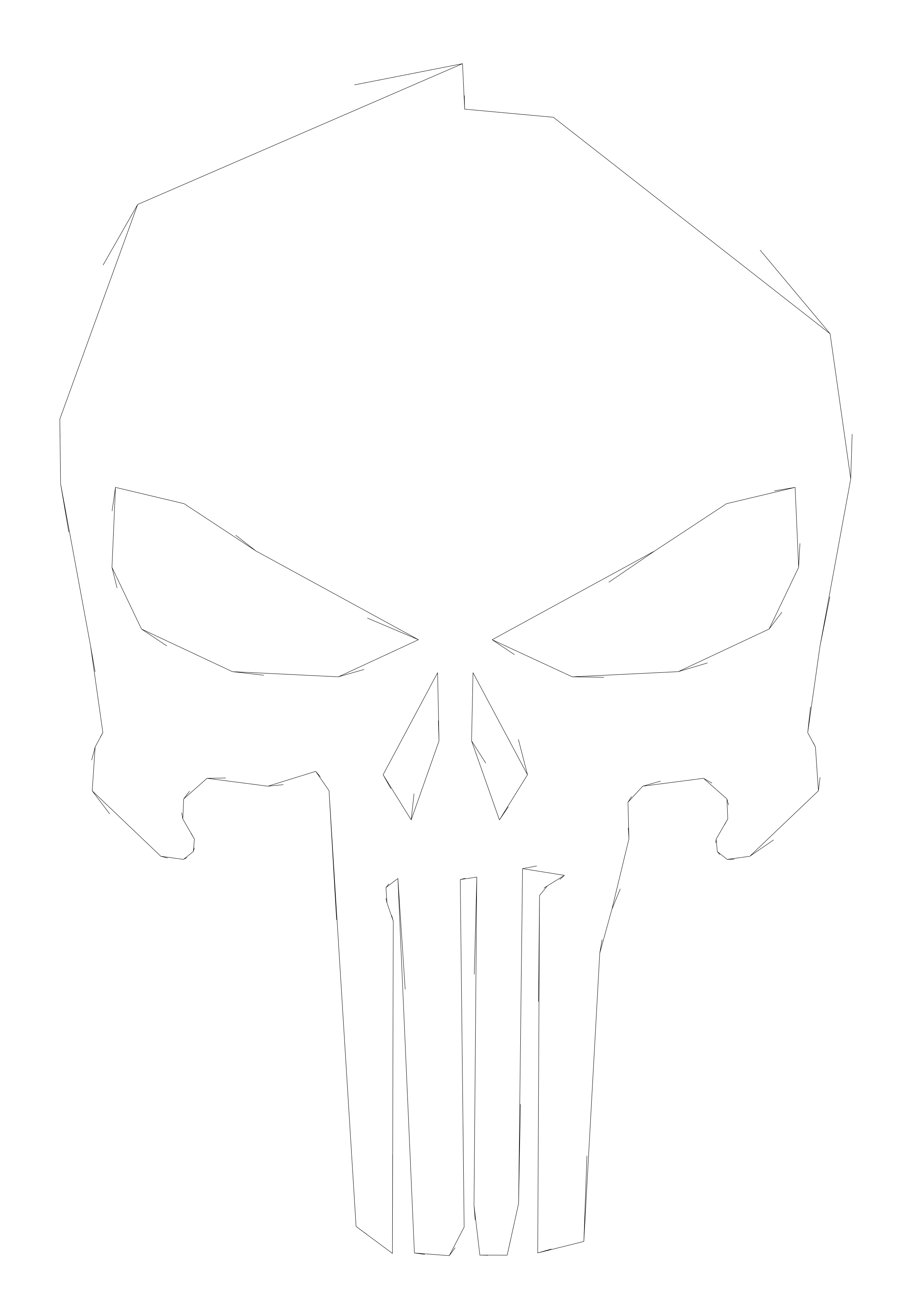 Patriotic/punisher skull.png